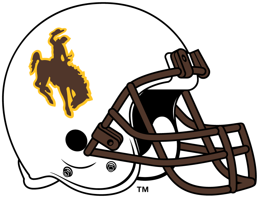 Wyoming Cowboys 2007-2013 Helmet diy DTF decal sticker